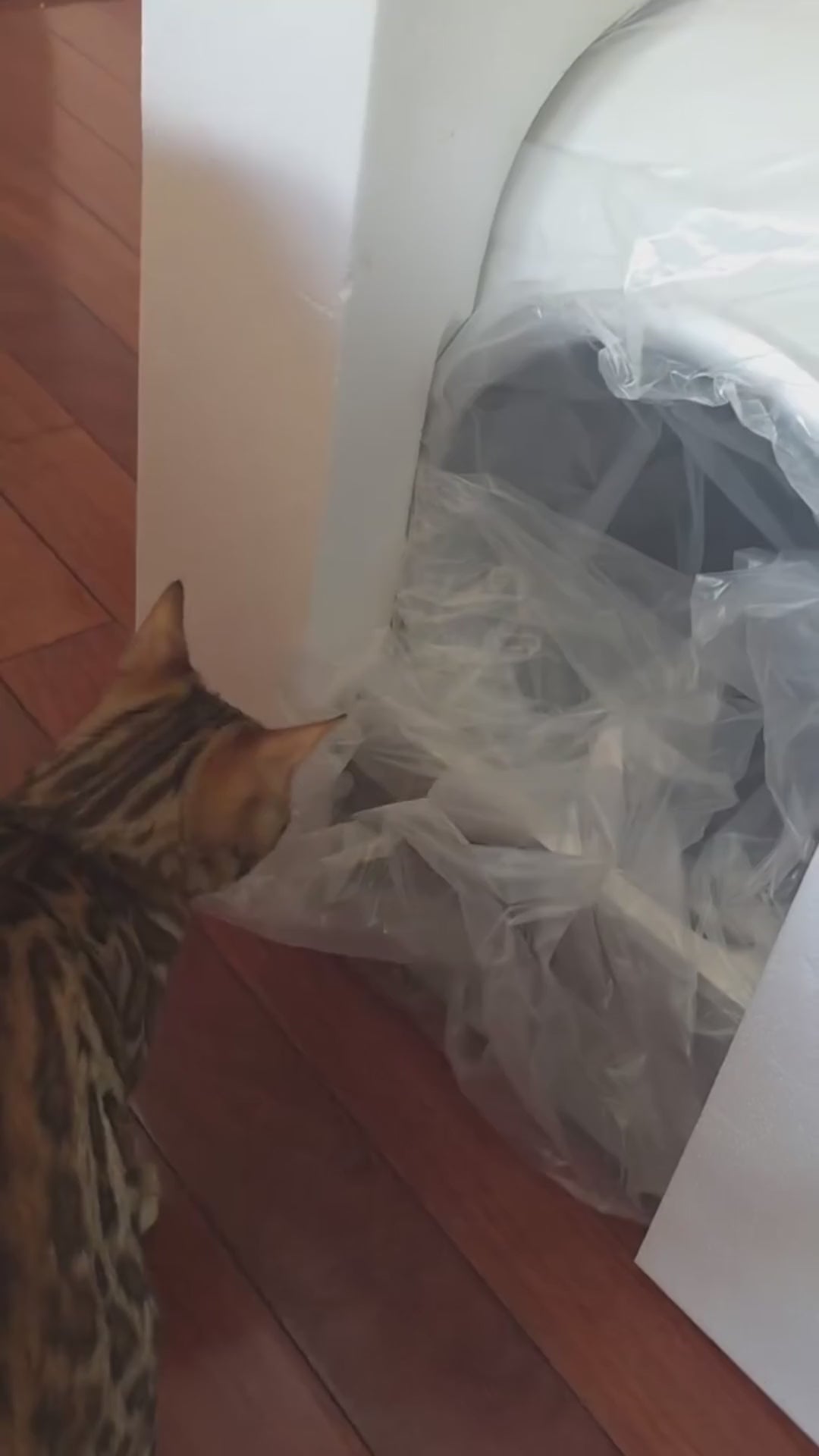 Vidéo