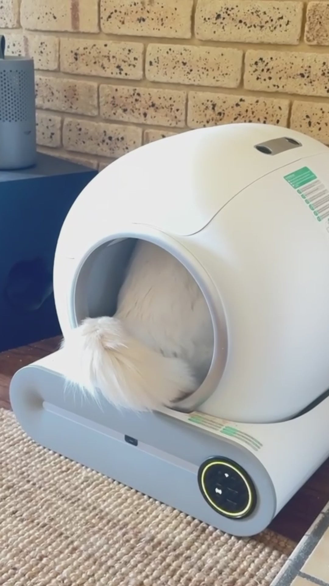 Vidéo